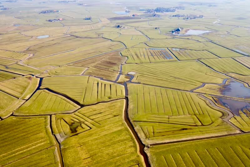 Greppellandschap, Friesland 
