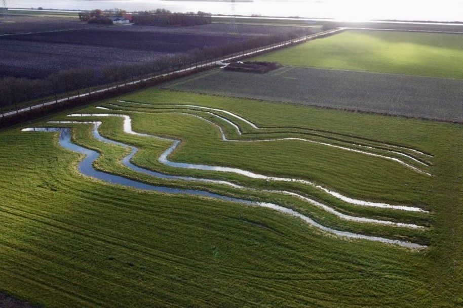 Resten van rivierduinen, NO-polder nabij Schokland 