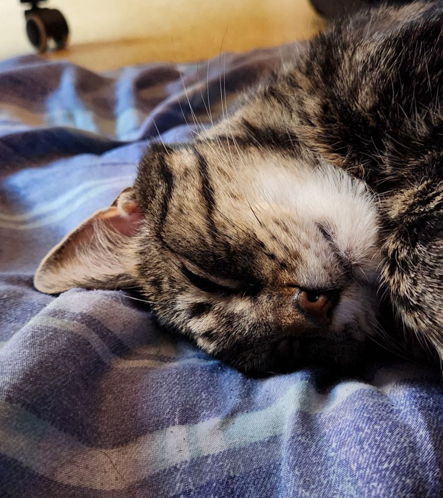 Benny being cute 