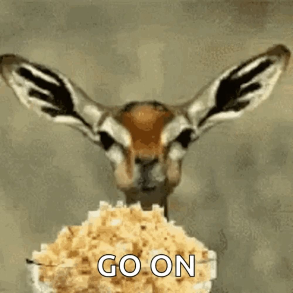 a gazelle is standing next to a bowl of cereal and says `` go on '' .