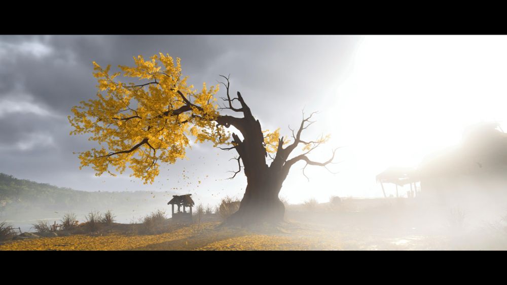 A large burnt tree with yellow leaves 