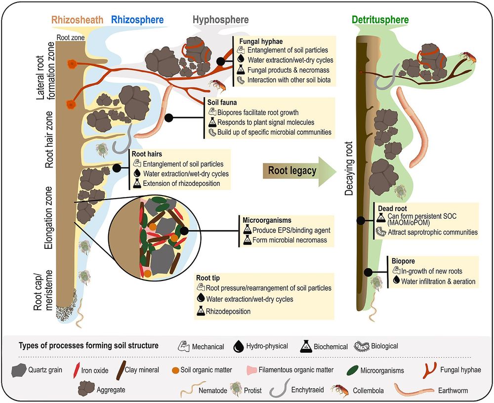 https://www.sciencedirect.com/science/article/pii/S0038071724000853?via%3Dihub