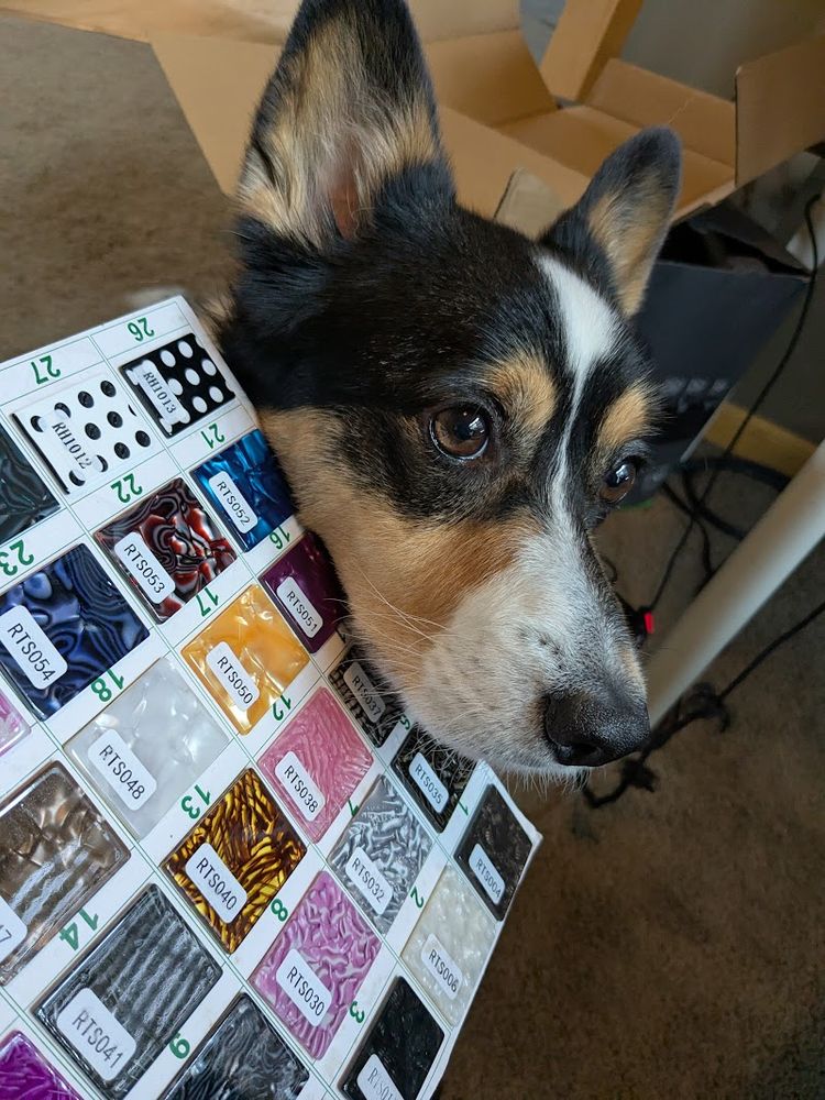 Corgi with hair claw sample colors