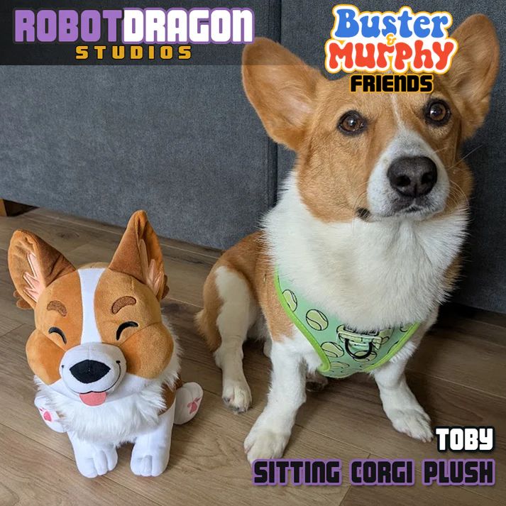 A corgi sitting next to a corgi plush