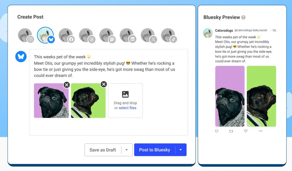 Schedule and Cross-Post with Buffer - Bluesky