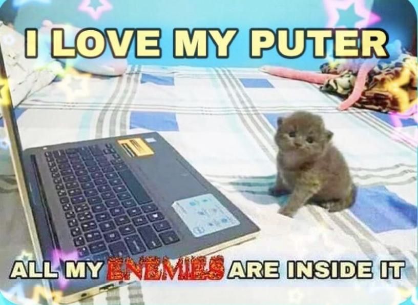 Comment image