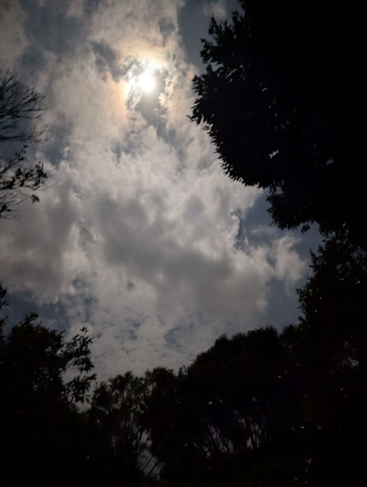 ほぼ太陽じゃん