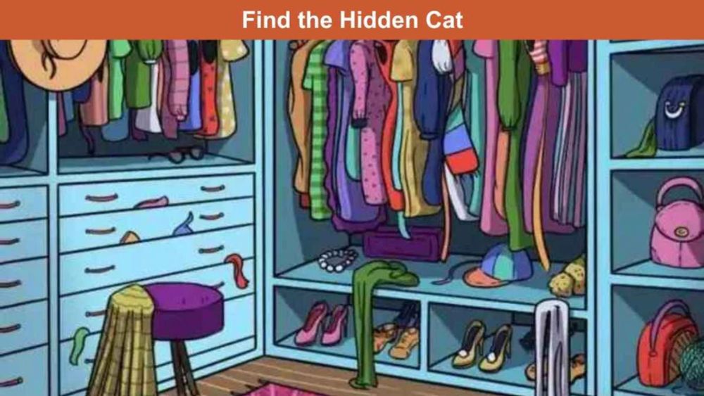 Optical Illusion: Only 1 in 10 people can find the hidden cat in 11 seconds! - Tech Chilli