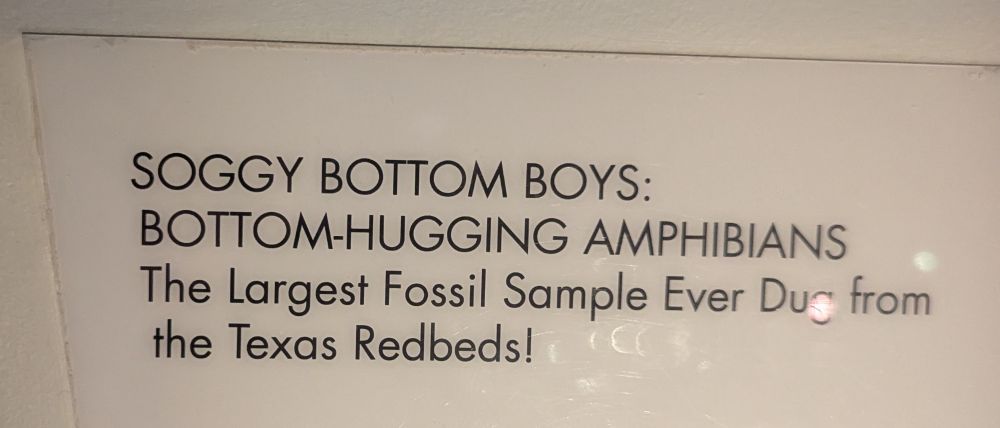 museum placard reading "SOGGY BOTTOM BOYS: BOTTOM-HUGGING AMPHIBIANS The Largest Fossil Sample Ever Dug from the Texas Redbeds!"