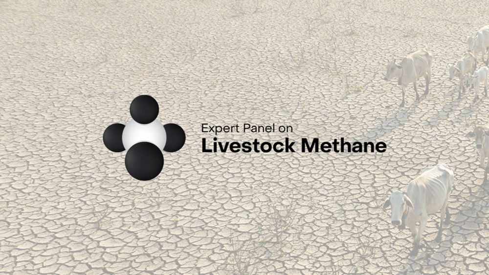 Solutions - Expert Panel on Livestock Methane