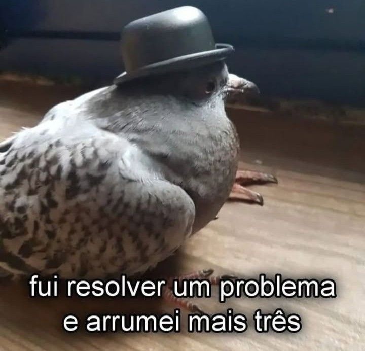 Um pombo chique com um chapeuzinho formal todo preto. Embaixo dele o texto diz fui resolver um problema e arrumei mais três 