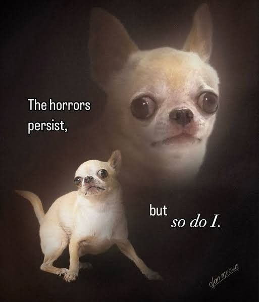 arte com um cachorrinho pequeno com uma cara assutada, ele tem uma cor meio bege e branca

na imagem tem a frase: os horrores persistem
mas eu também persisto