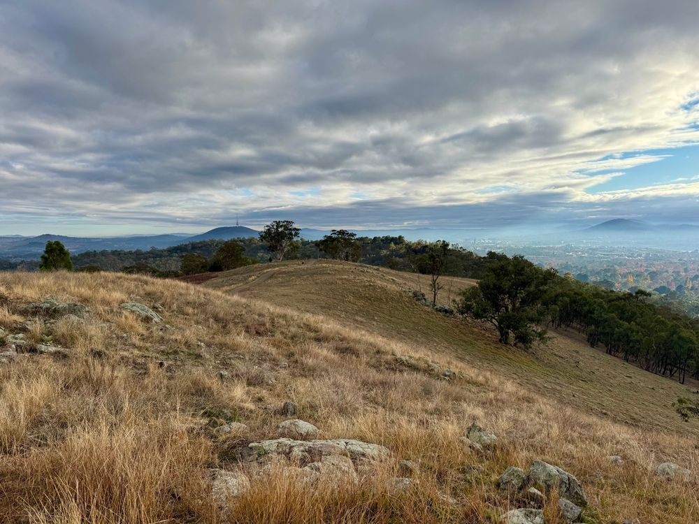 View from the trig point towards black mountain. It’s overcast. The grass is golden brown. 