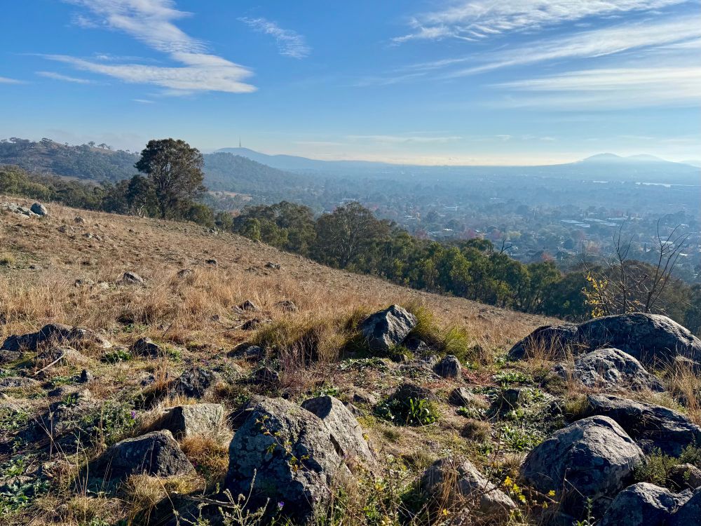 View from the east face of Red Hill looking towards Black Mountain on the left and Mount Ainslie to the right. The sky is blue with wispy clouds. Rocks and grass dominate the foreground. It was -1°C when I took this photo.