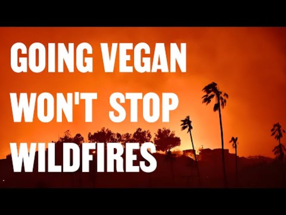 Going Vegan Won't Stop Wildfires