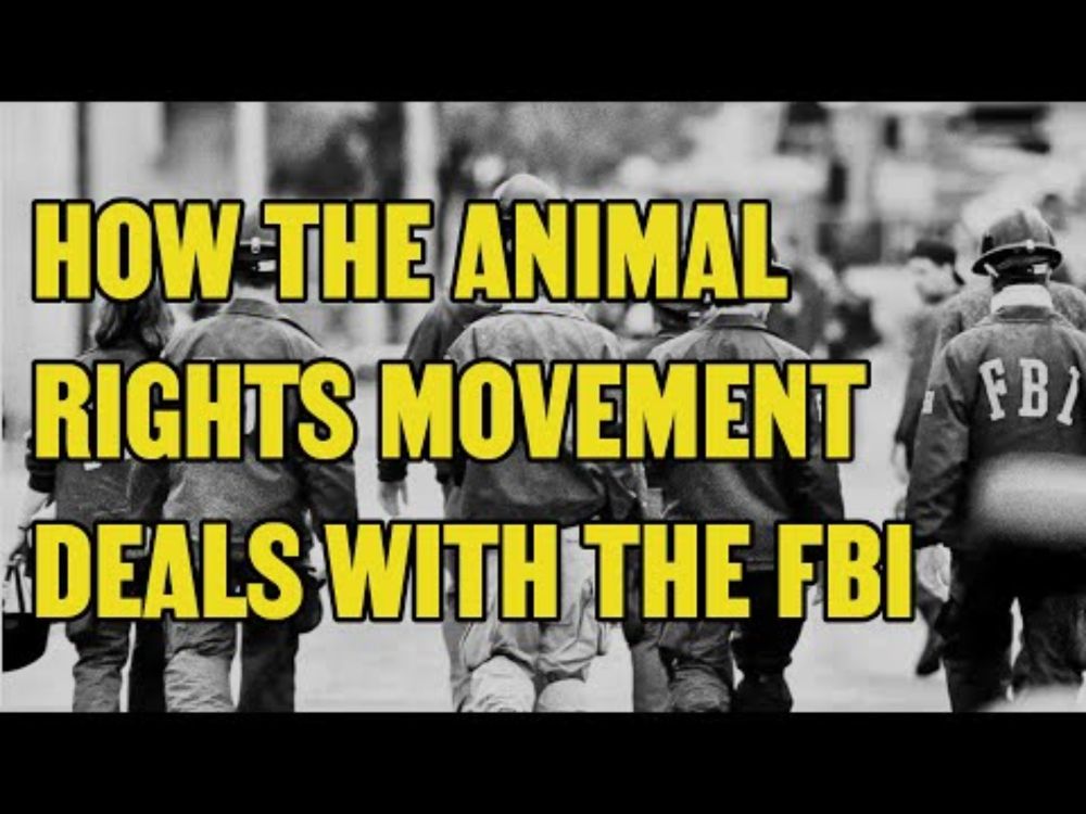 How Animal Rights Activists Deal with the FBI