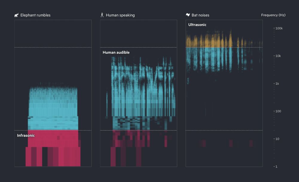 This image shows a spectrogram of three sound types: elephant rumbles (mostly infrasonic, red), human speaking (audible range, blue), and bat noises (ultrasonic, yellow and blue), with frequency increasing from bottom to top on a logarithmic scale. Published by Financial Times.