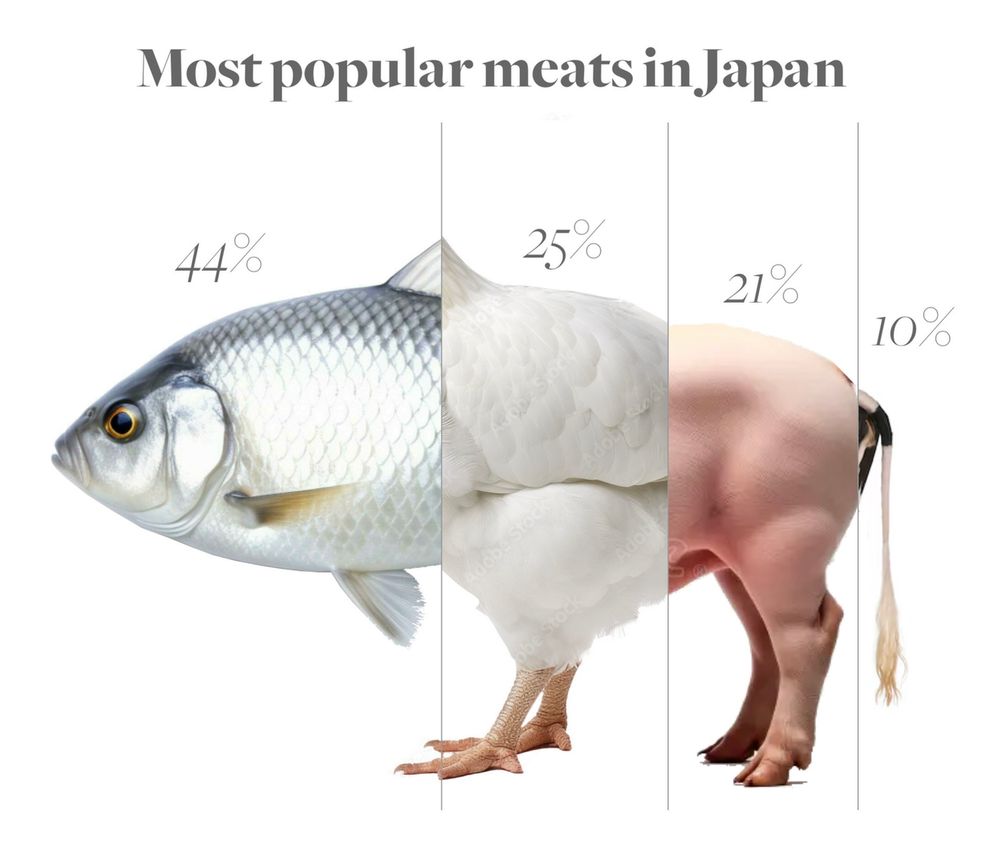A diagram representing the most popular types of meat in Japan through a composite image of a fish, chicken, pig and cow. The "animal" is divided into four vertical sections whose size corresponds to the percentage consumed in Japan. The largest section with 44% shows a fish head, the smallest section with 10% shows the tail of a cow. Published by Karim Douieb on Bluesky.