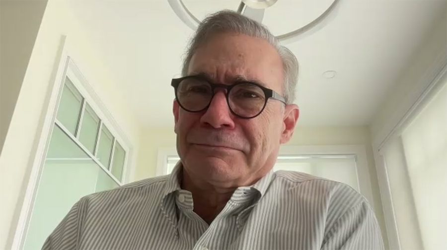 Roger Berkowitz in Zoomed hearing