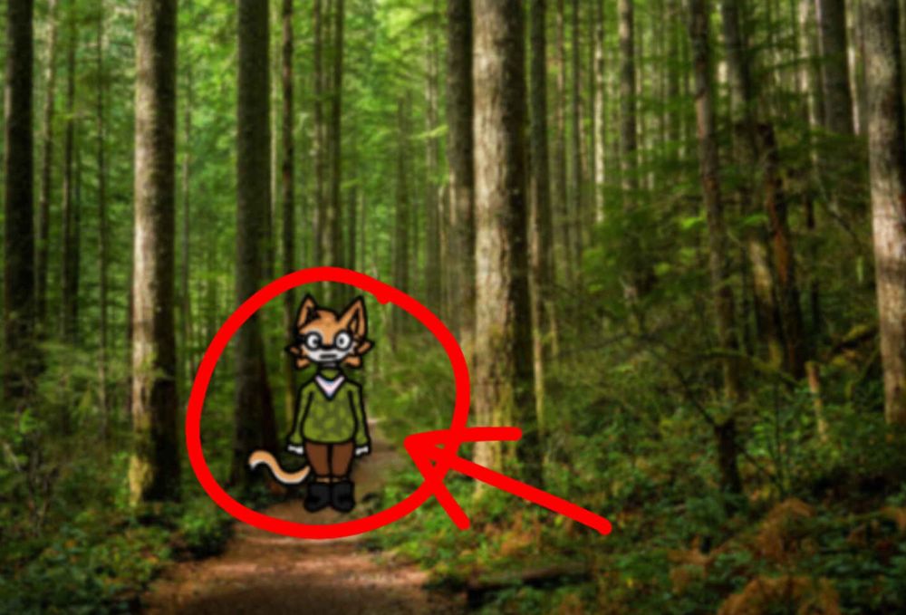 a random cat for trans visibility day