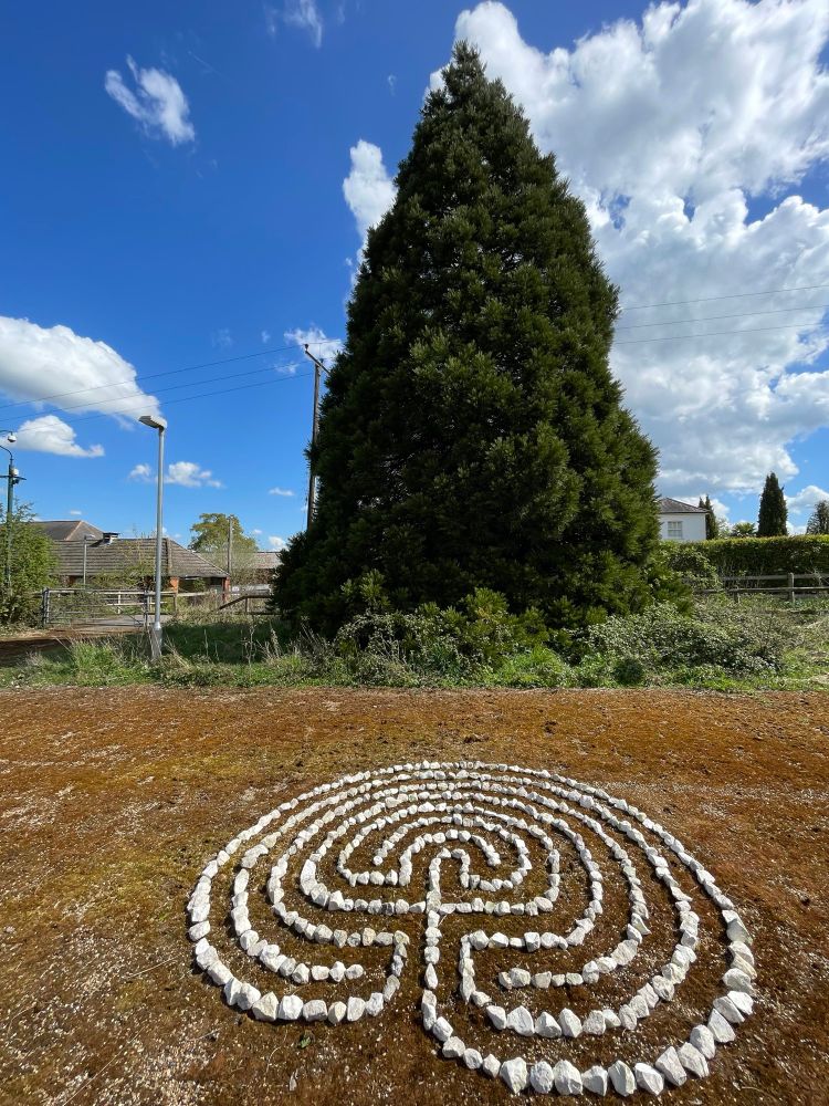 Labyrinth with chalk walls in a mossy abandoned car park. An evergreen tree behind against a bright spring sky.