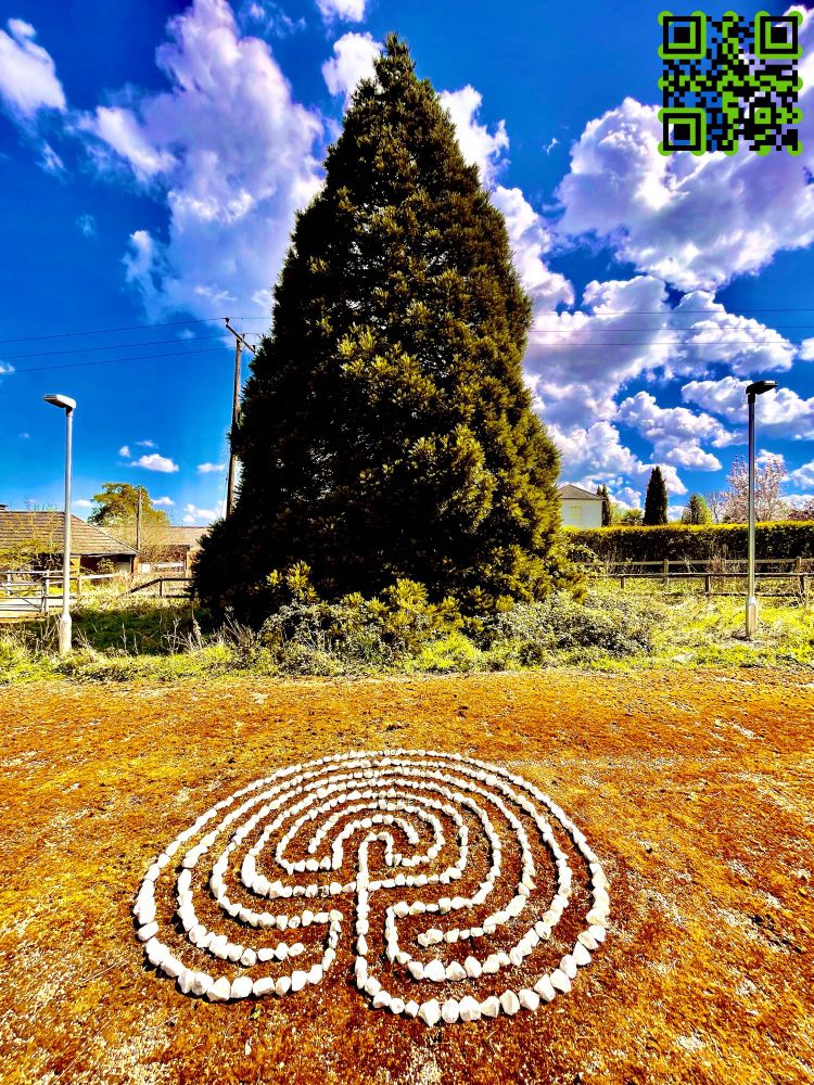 Wide-angle shot of the labyrinth in front of a Sequoia tree.