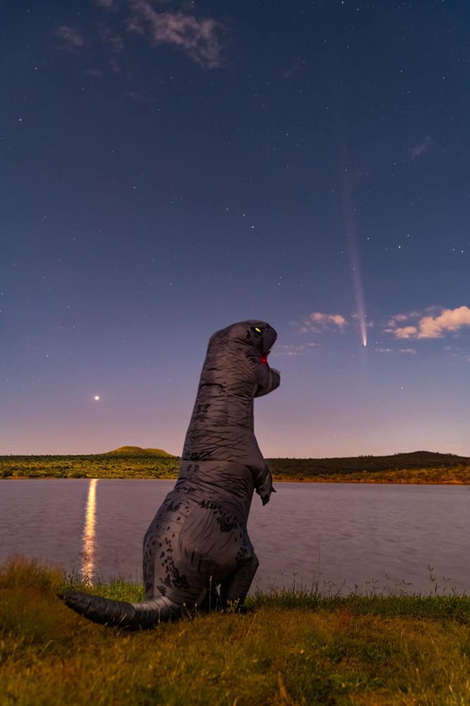 a person in an inflatable t-rex costume is looking at the current comet, which is going downwards as though it's the meteor that killed the dinosaurs
