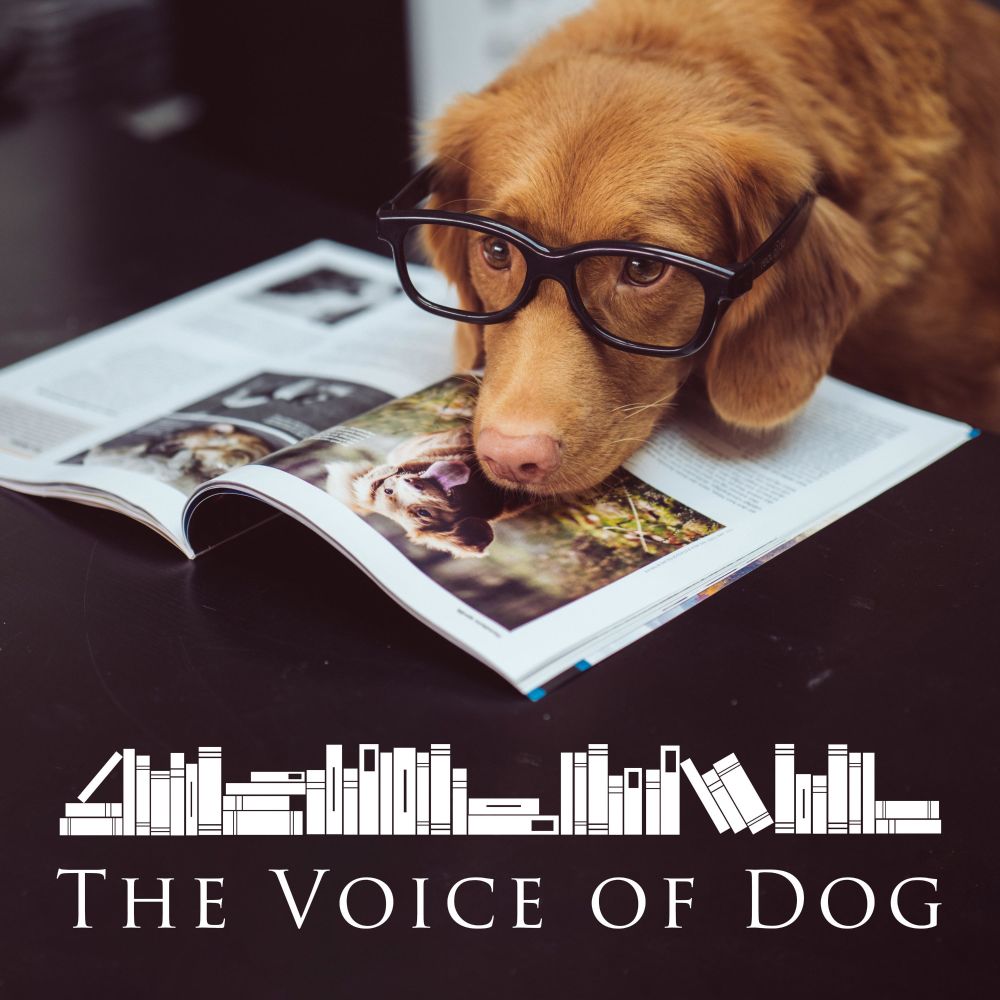 The Voice of Dog: “Skykomish Never Sleeps” by Heya Baru