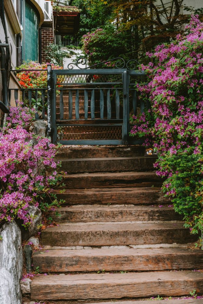 Beautiful flowered entrance to someones home