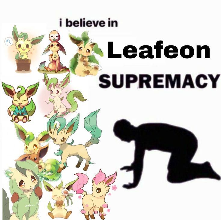 i believe in leafeon supremacy meme. there's a silhouette of a man on his knees facing a bunch of photos of leafeon. 