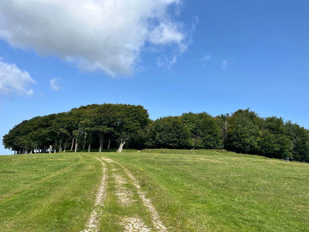 Chanctonbury ring hill fort 