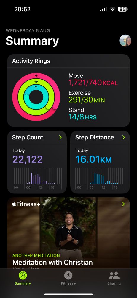 My walking stats. 22k steps and 16km walked - which is a lot for a fatty with no testosterone 