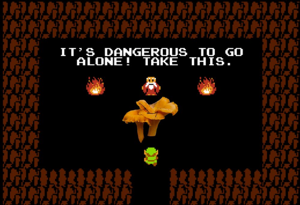 the legend of zelda meme, "its dangerous to go alone take this" but the sword is replaced with Chanterelle mushroom, i think