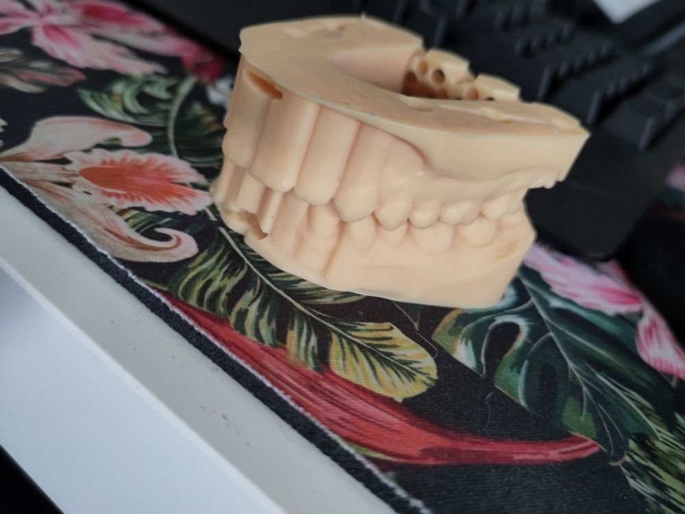 A teeth mould made out of firm beige silicone.