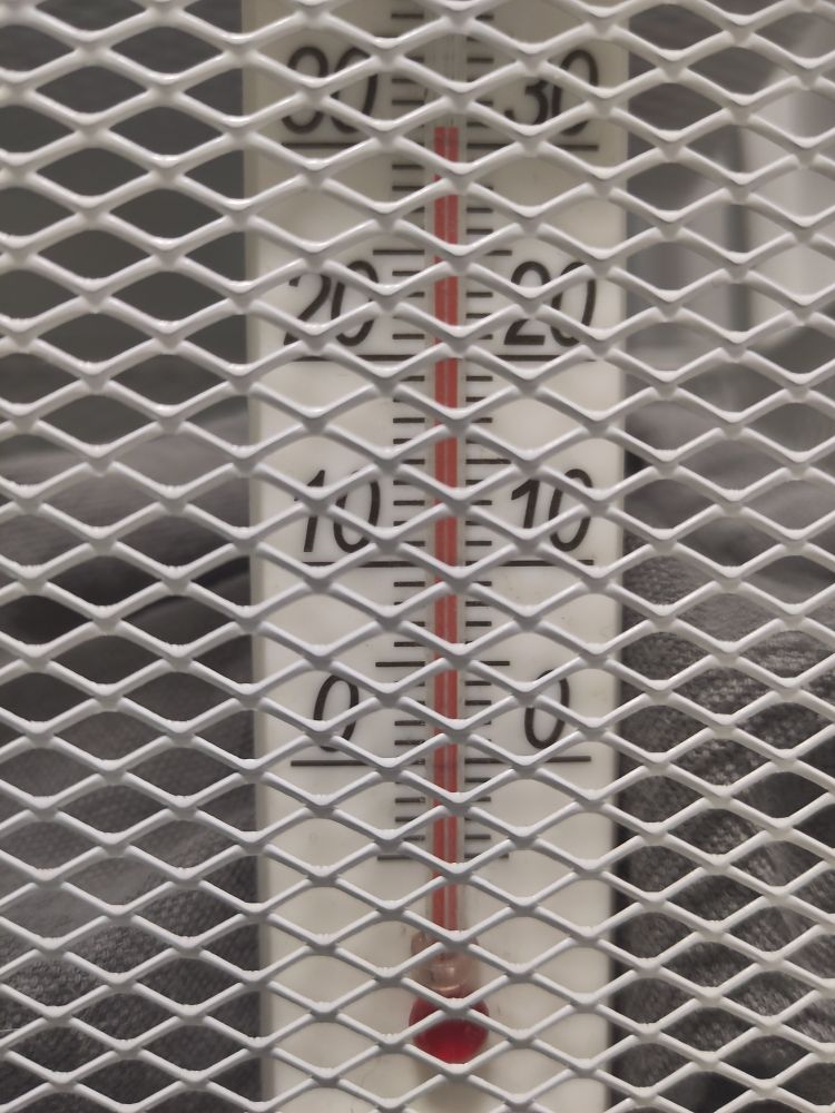 An analogue thermometer showing 31 degrees Celsius behind a metal net