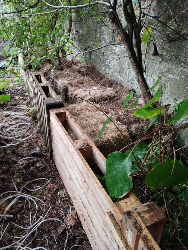 A series of views along our back bed with spent straw mounded up to raise the volume of materials in there.