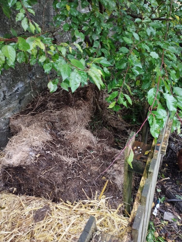 A series of views along our back bed with spent straw mounded up to raise the volume of materials in there.