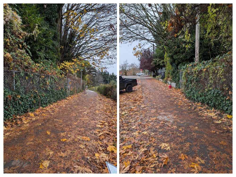 Photo of a trail with very packed wet leaves.
