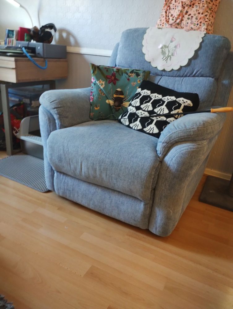 This is the armchair that Iggy, lying on his side, pulled himself, using his claws, right round the bottom, three times.