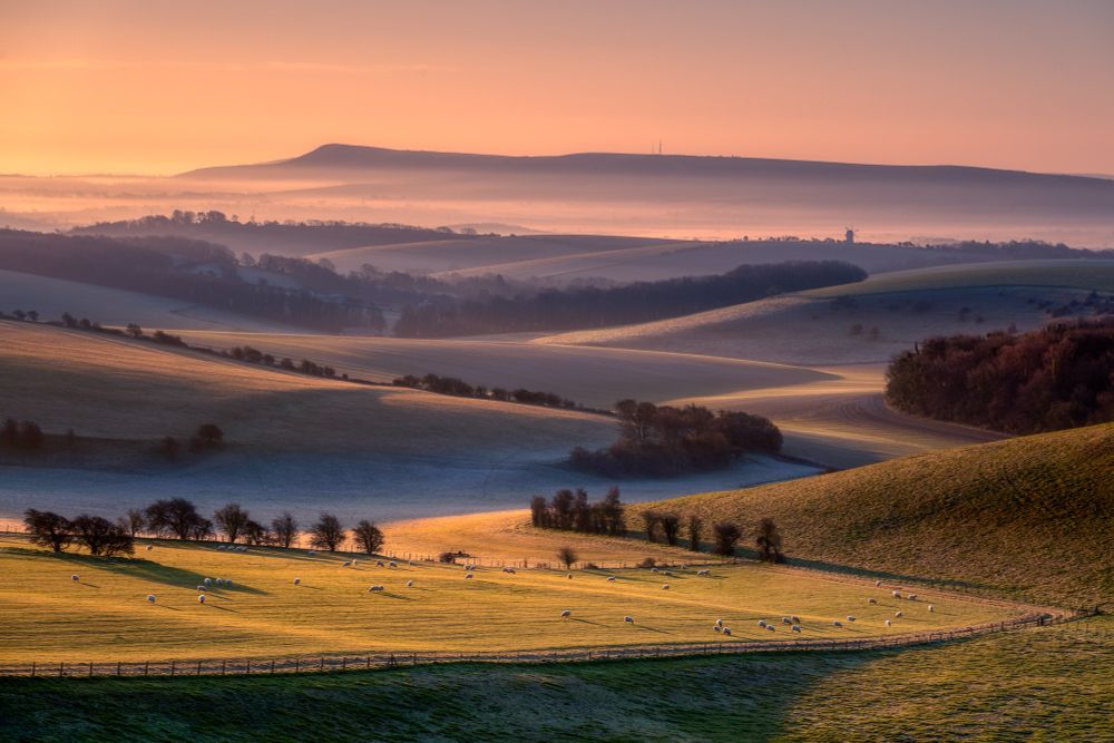 A misty dawn on the South Downs near Firle Beacon