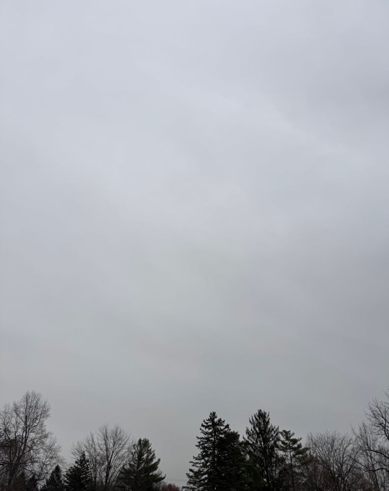 A sky covered in undifferentiated gray clouds towers above a small border of tree silhouettes.