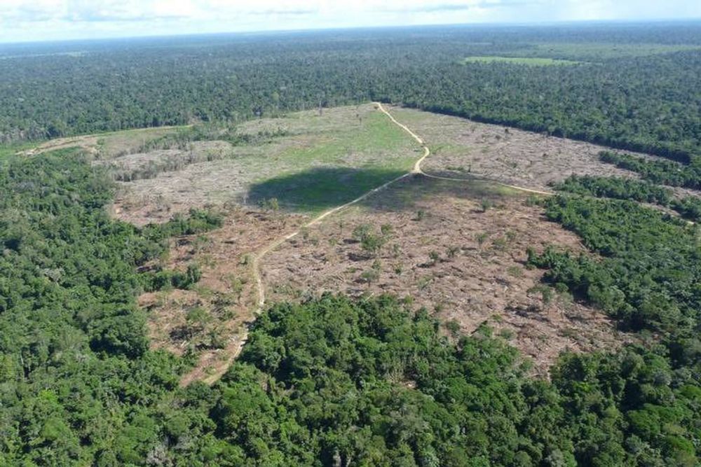 Ações judiciais passam a cobrar dano climático por desmatamento e queimada