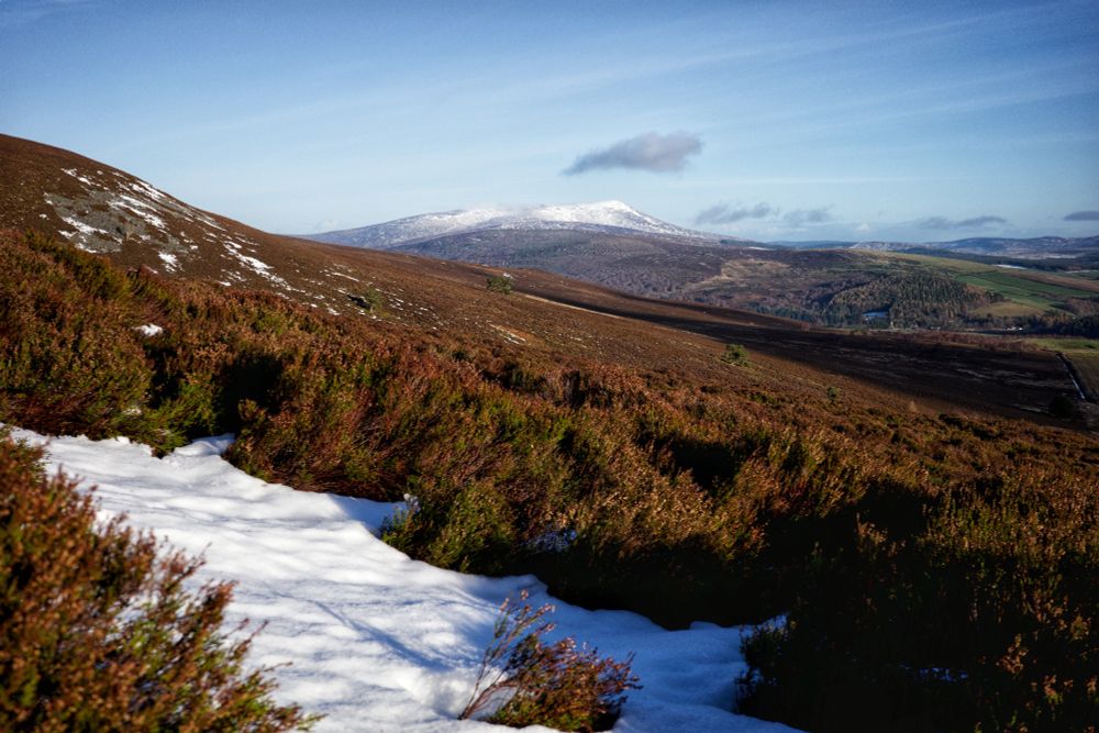 A snow-capped Ben Rinnes in the background and heather, with the odd patch of snow, in the foreground. In the Cairngorms National Park in Scotland.