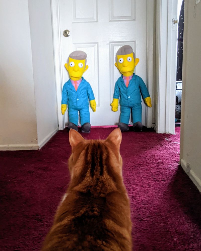 Shot of an orange cat from behind approaching two stuffed Seymour Skinner dolls at the end of a red hallway. Photo taken as a reference to the hallway shot from The Shining of Danny Torrance seeing the twins down the hallway.