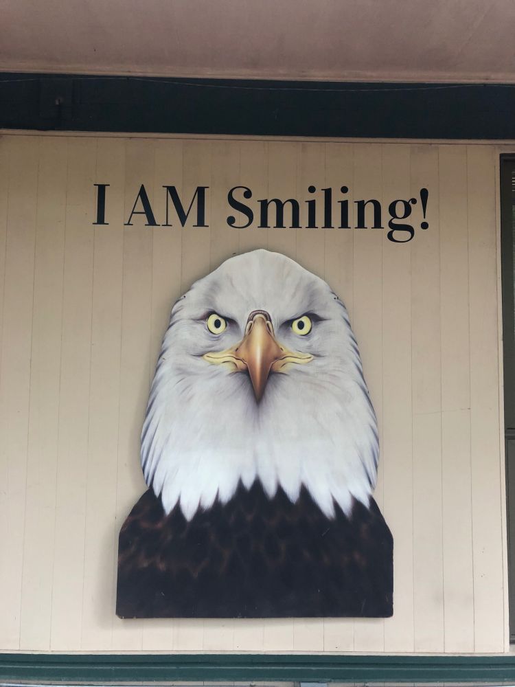 En sur örn med texten I am smiling.