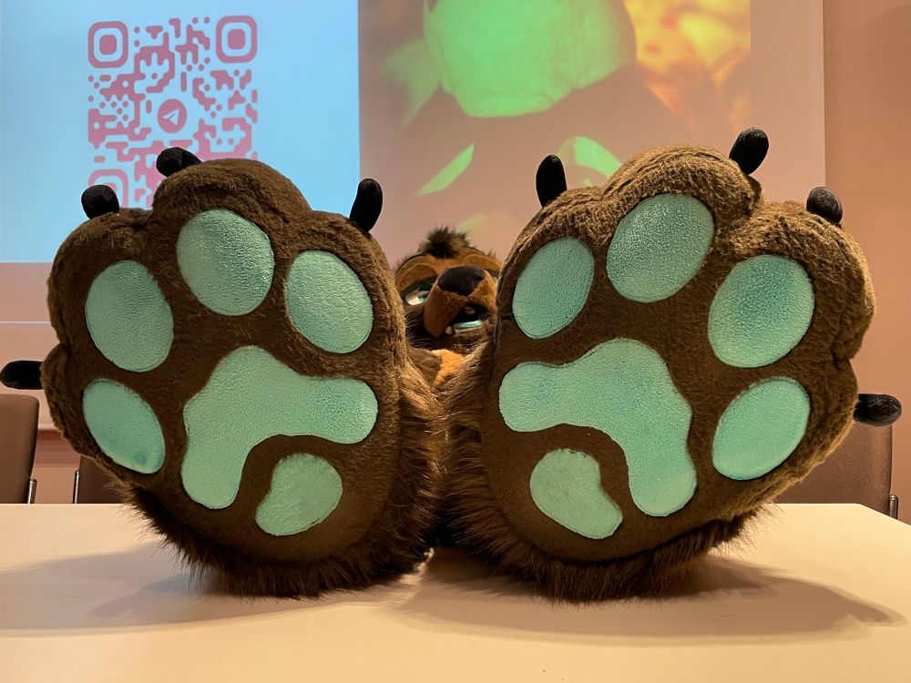 Big feet paws of a suiter, you can see in the back.
