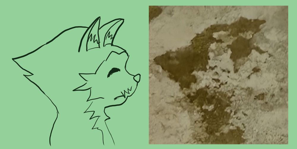 Right: a photo of a disgusting shower floor. Left: a drawing of a cat that was interpreted from the stains on the floor.