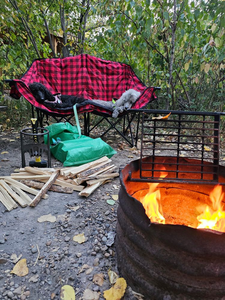 Full bellies, full hearts. Now time for a nap in front of the fire.