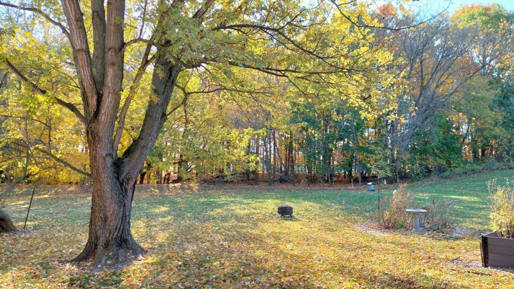 Photo of a backyard during autumn. A large tree, flower beds, and fire pit are throughout the lawn. A dense tree line is in the background. Everything is covered with fallen leaves.