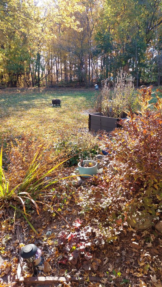Photo of a backyard during autumn. Flower beds, open lawn, and a fire pit are visible with fallen leaves on everything. In the background is a dense tree line with many trees of multiple leaf colors.